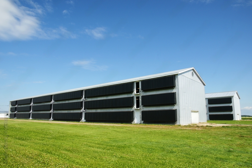 agricultural steel buidling in a farm